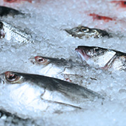 冷庫冷藏行業(yè)應(yīng)用